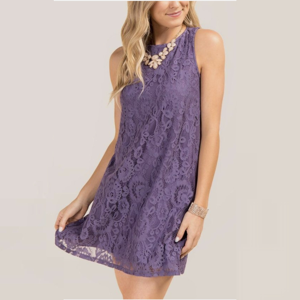 Francesca's | Gisela Sleeveless Lace Swing Shift Dress